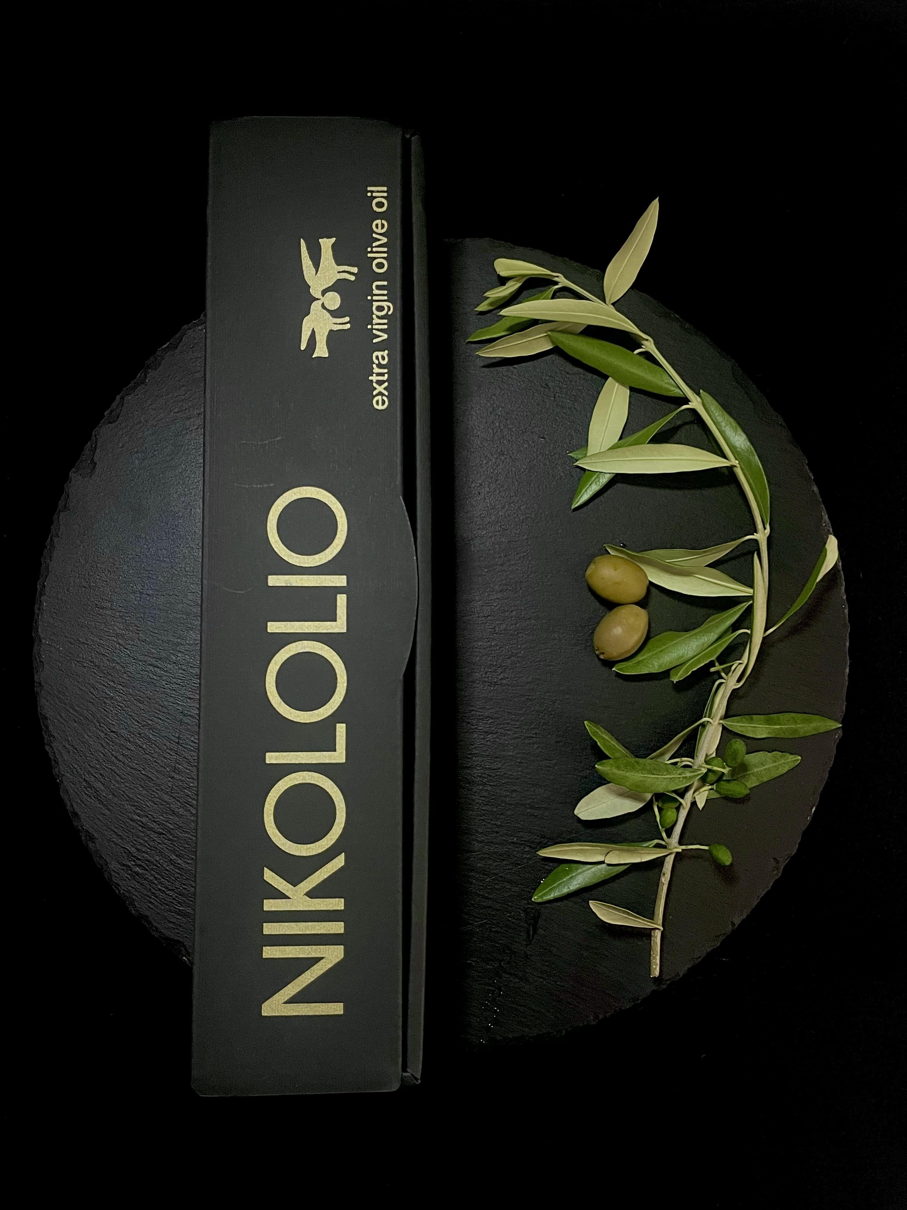 Ukrasno pakiranje maslinovog ulja i grančica masline s plodom